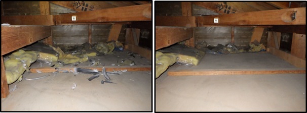 羽生市 屋根裏動物 アライグマ 足音 匂い