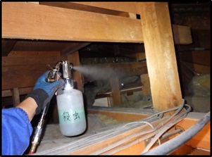 ネズミが出た！どうすればいい