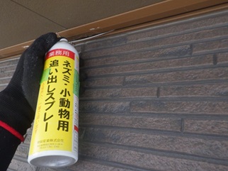 さいたま市で屋根裏から動物の音や匂い