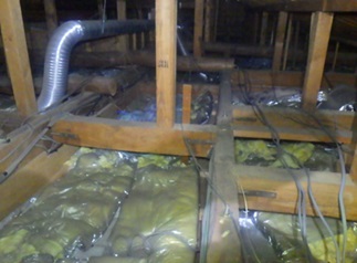 さいたま市で屋根裏から動物の音や匂い