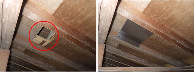 加須市 屋根裏動物 ハクビシン