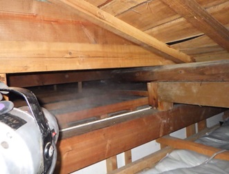 川越市で屋根裏から動物の音や匂い