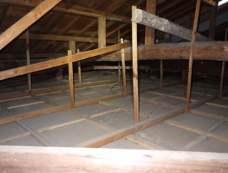 さいたま市で屋根裏から動物の音や匂い