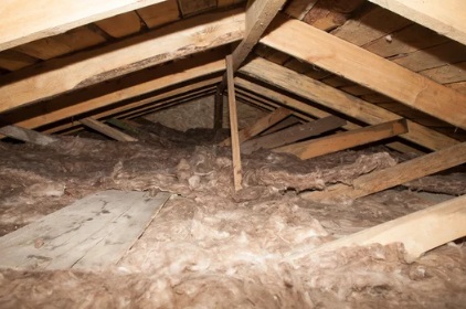 川口市で屋根裏から足音