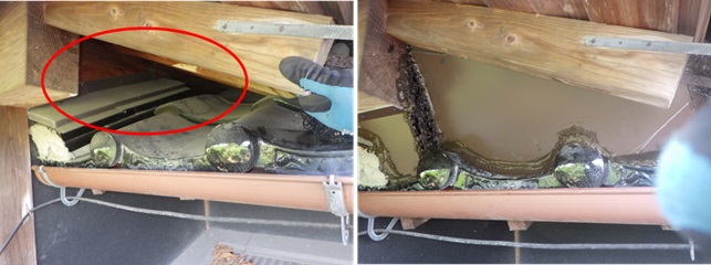 秩父市で屋根裏から足音や匂い