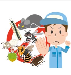 さいたま市で屋根裏から動物の音や匂い