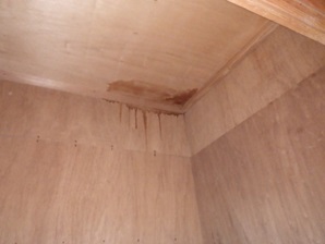 加須市 屋根裏動物 ハクビシン