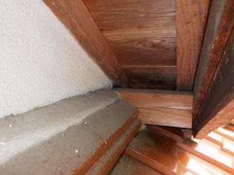 行田市で屋根裏から動物の匂い